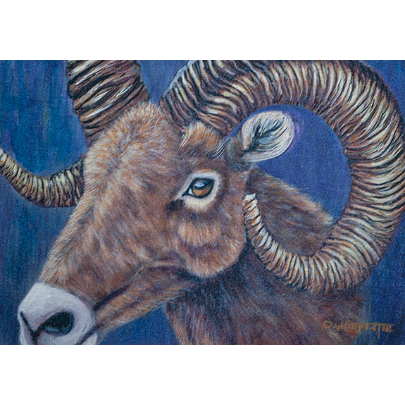 Bighorn - Original