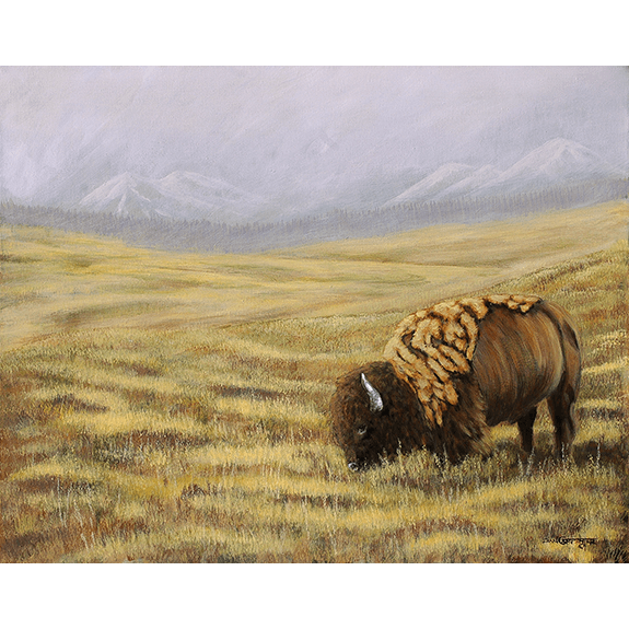 Buffalo Spring - Original