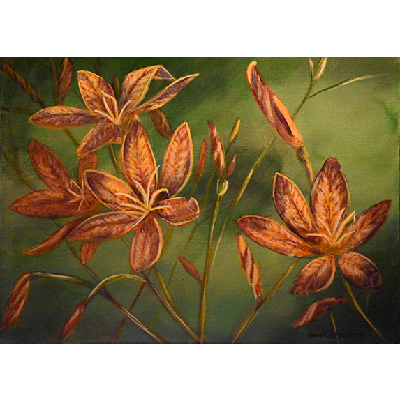 Daylillies - Original