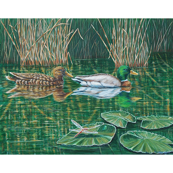 Got My Ducks in a Row - Original