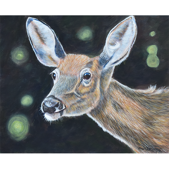 North Idaho Lady - Original