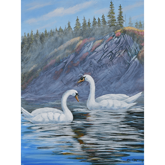 Swans at the Monarch